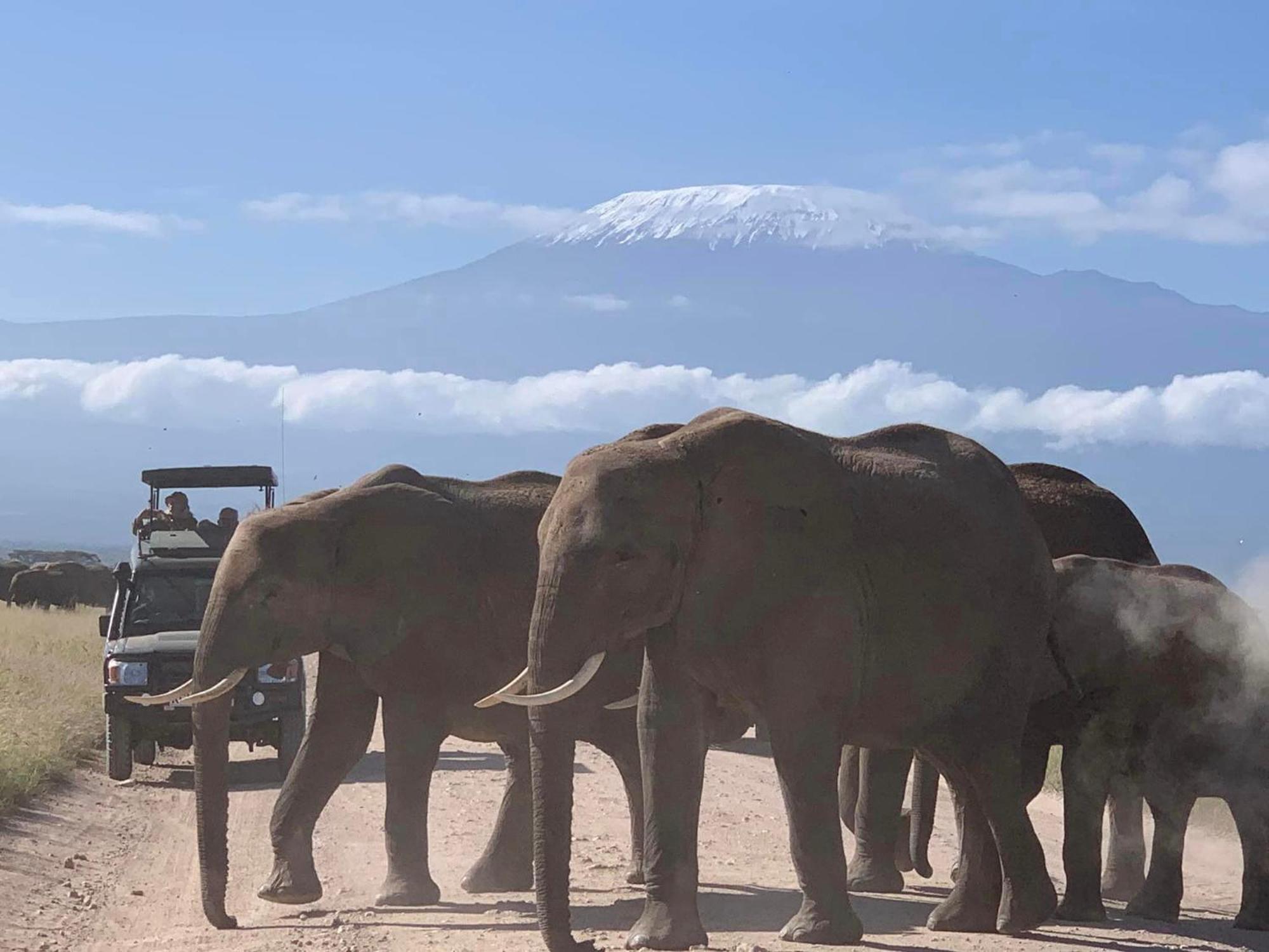 Amboseli Discovery Camp Exterior photo