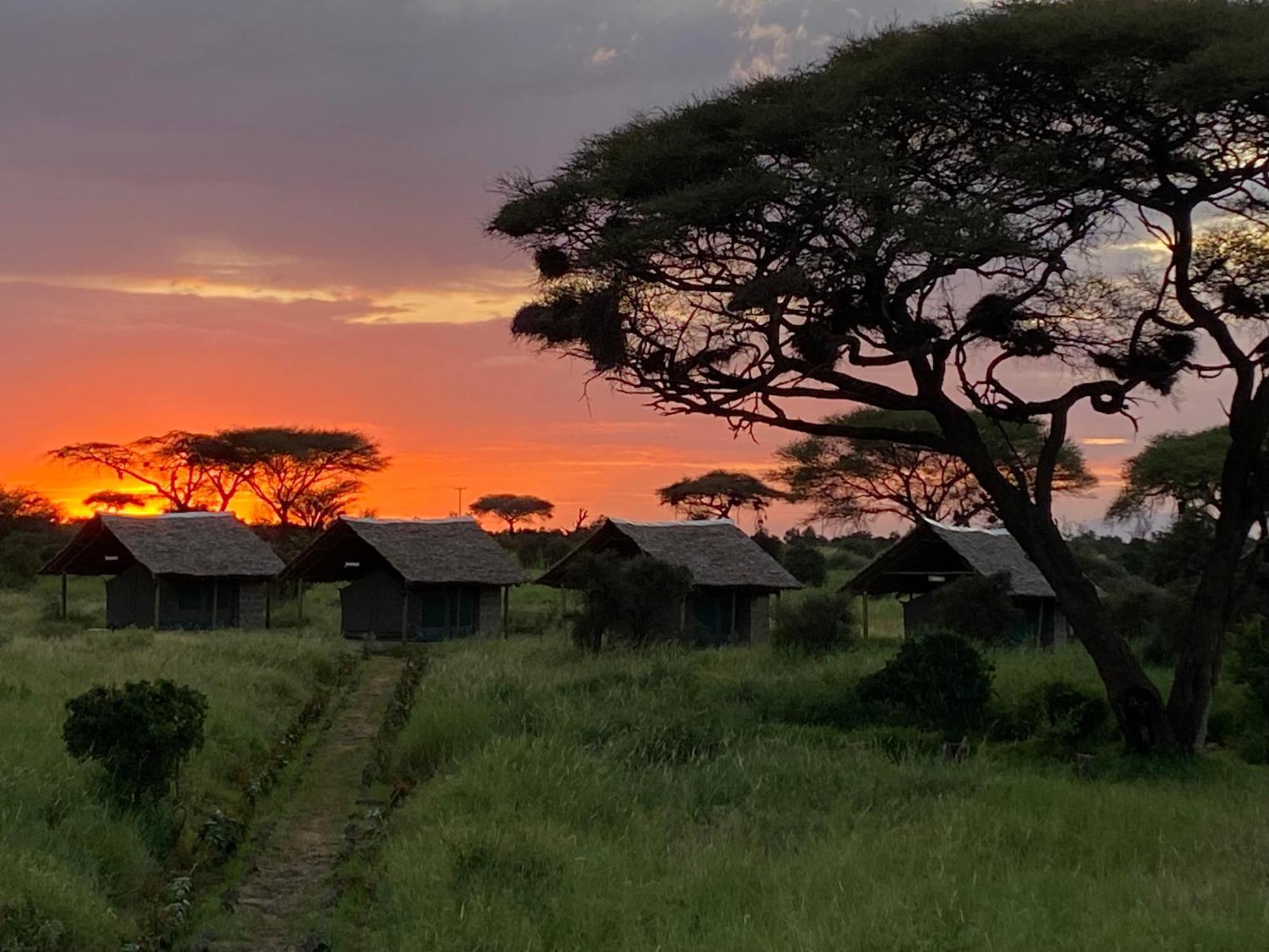 Amboseli Discovery Camp Exterior photo