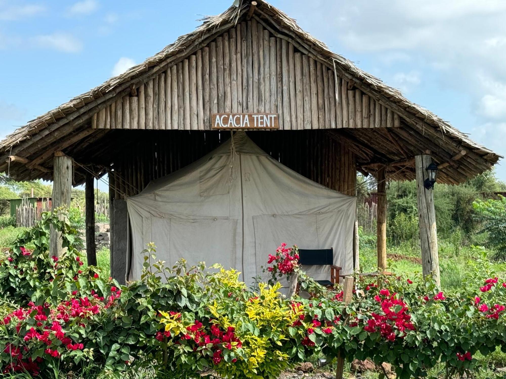 Amboseli Discovery Camp Exterior photo